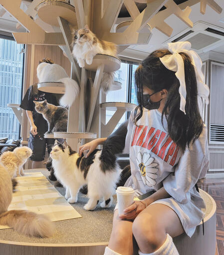 made by CherriFireLive